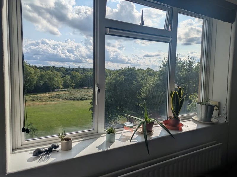 Room Torridge Gardens in Greater London
