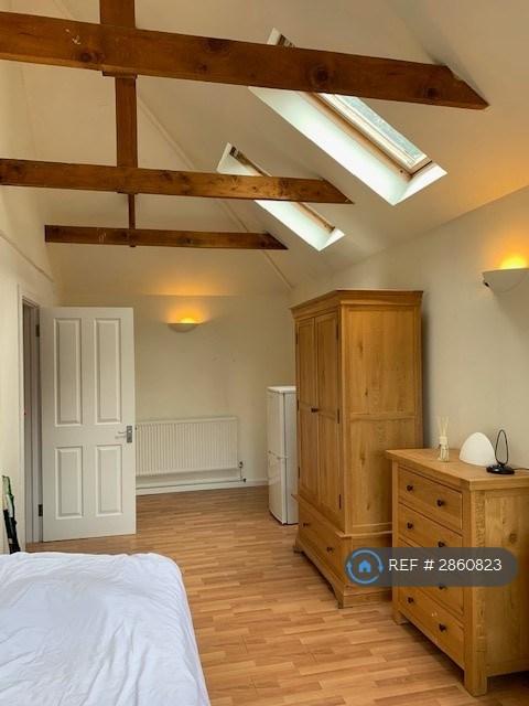 Room Burdon Lane in Greater London