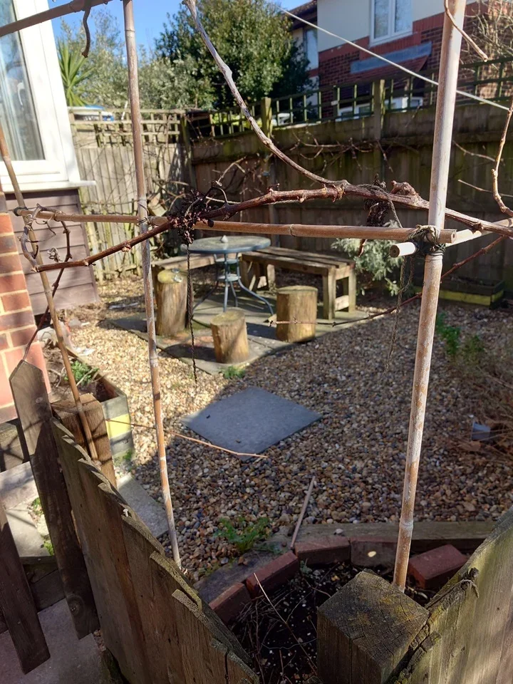 House Chaucer Drive in Greater London