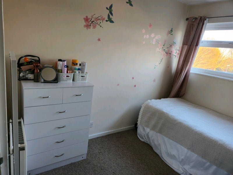 Room Elderberry Walk in Bristol