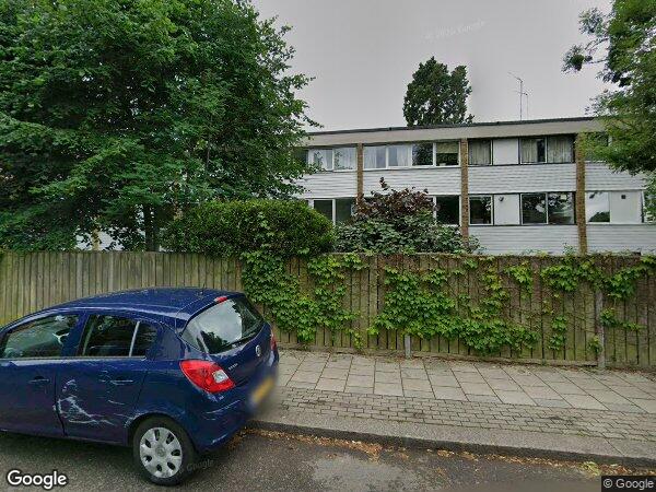 Flat Redwoods in Greater London