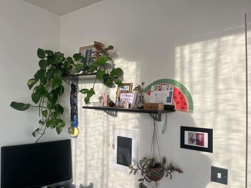 Room Warton Road in Greater London