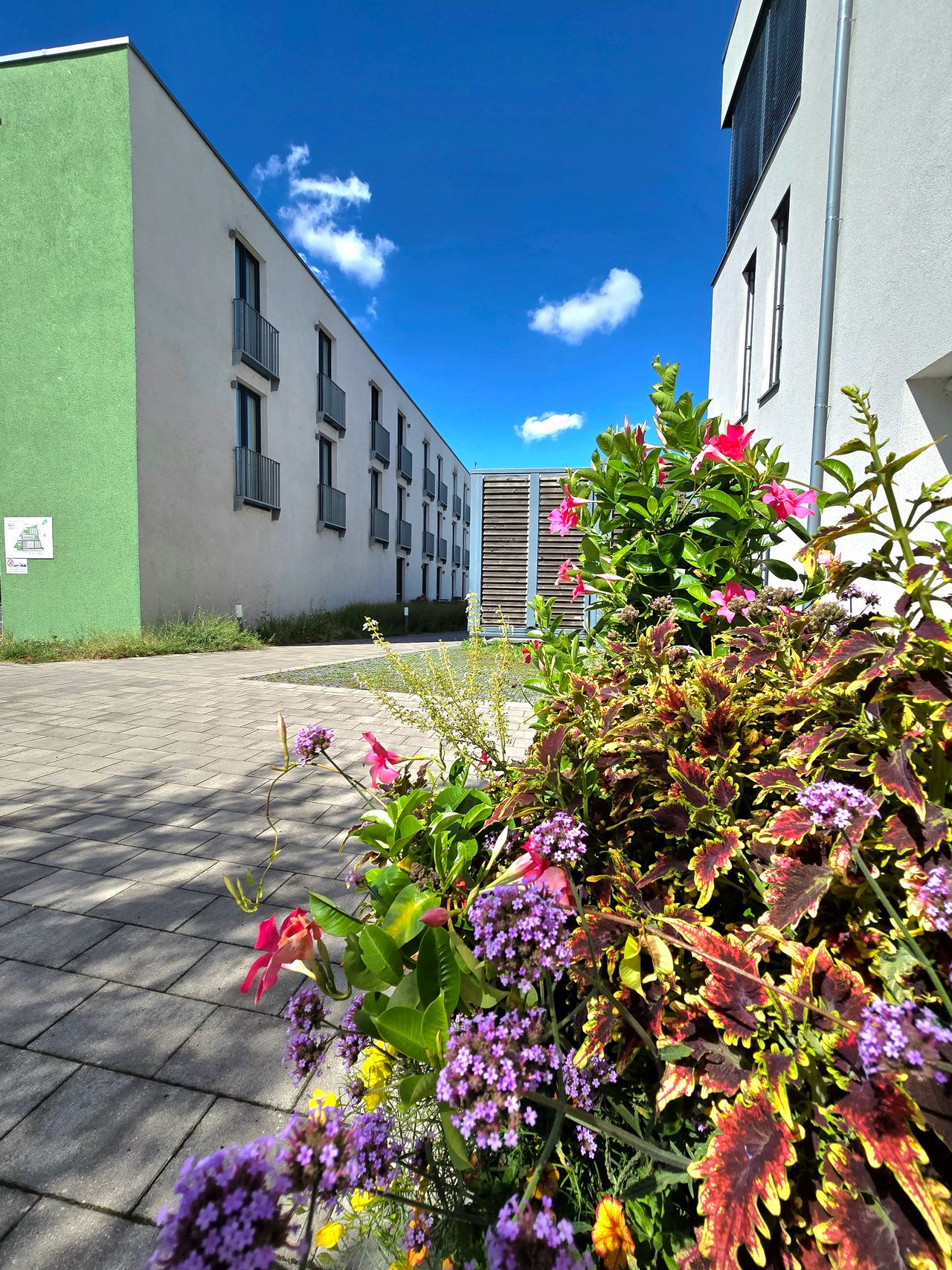 Wohnung Margaretendamm in Bamberg