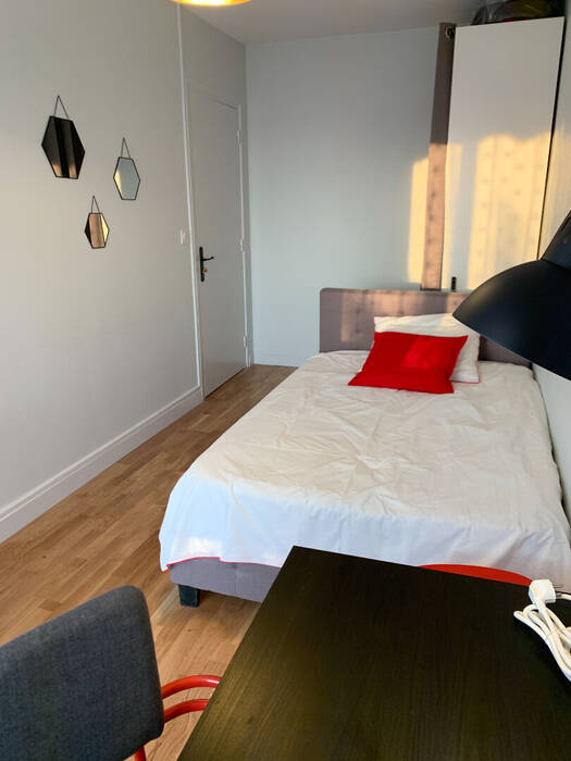 Chambre Avenue Paul Santy à Lyon