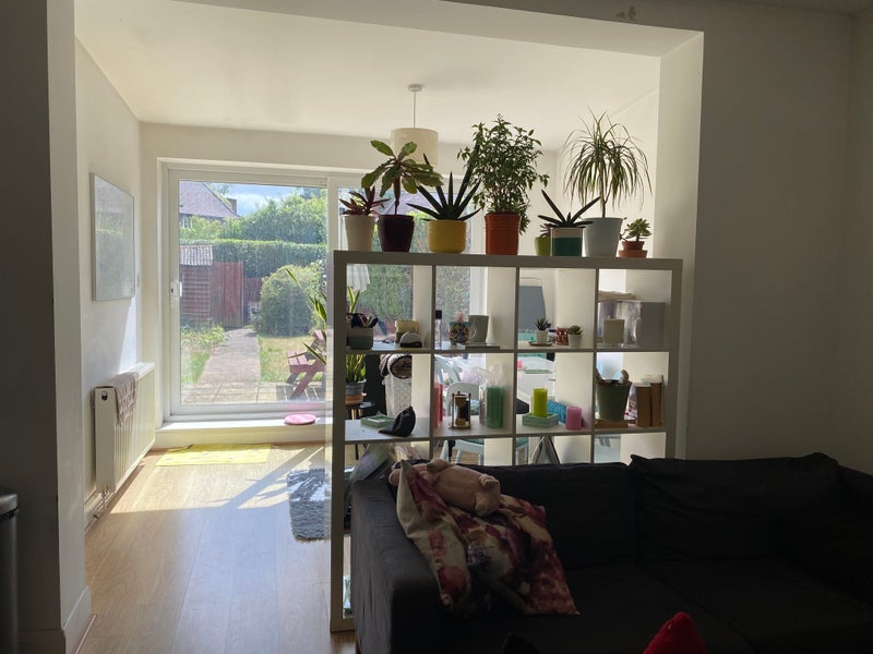 Room Orchid Street in Greater London