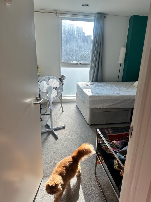 Room Australia Road in Greater London