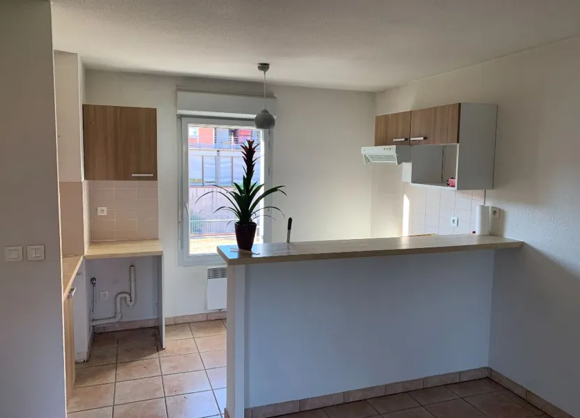 Flat Rue des Palmiers in Toulouse