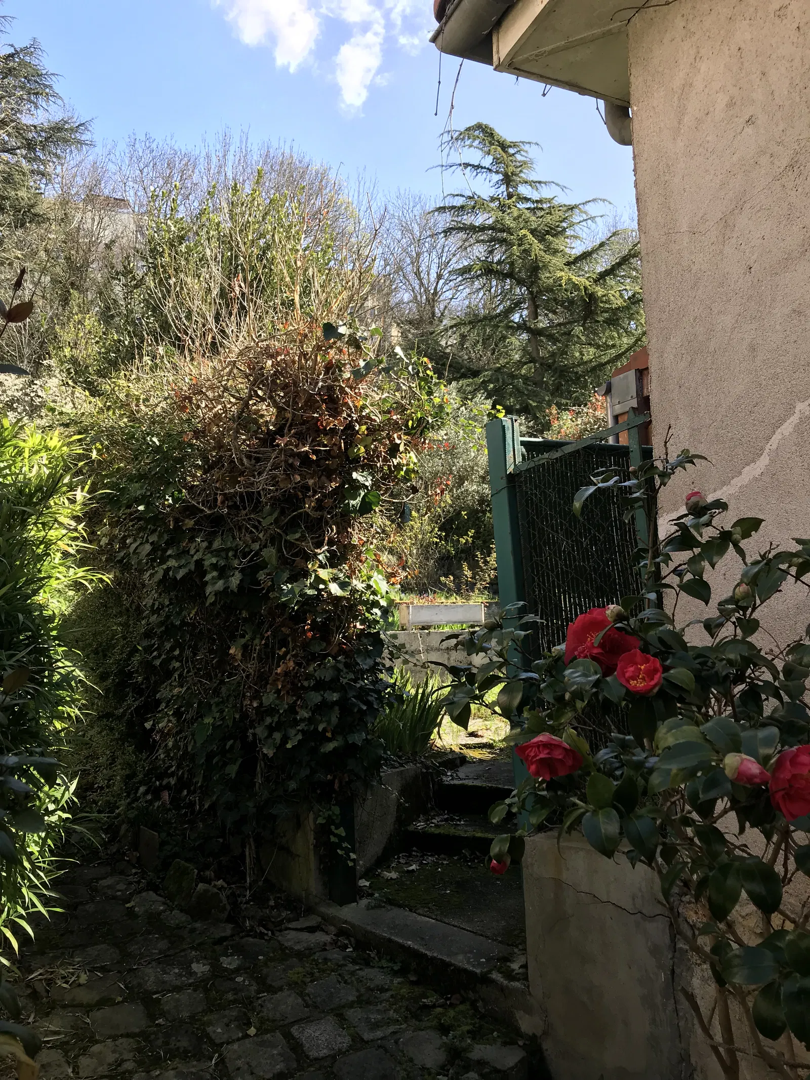 Chambre Rue de la Pêcherie à Corbeil-Essonnes