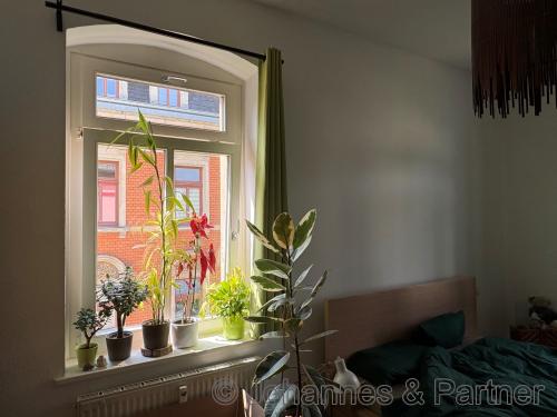 Wohnung Emil-Ueberall-Straße in Dresden