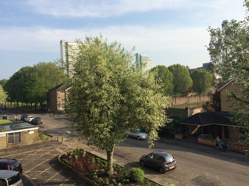 Room Grove Street in Greater London