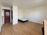 Flat Rue Manin in Paris