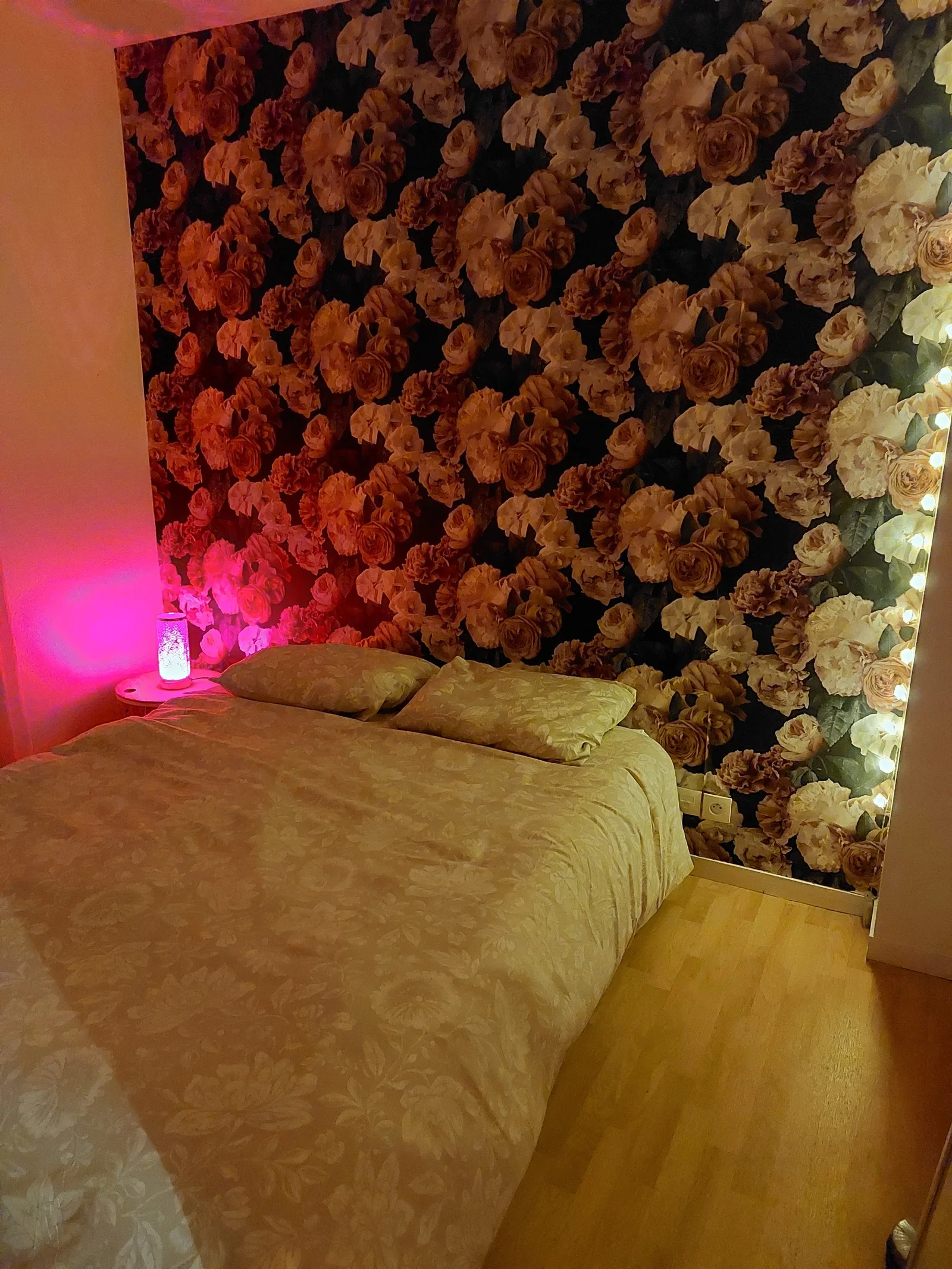 Chambre Rue Caroline Aigle à Poitiers