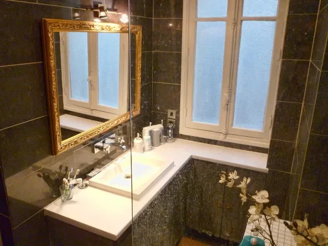 Flat Rue Fondary in Paris