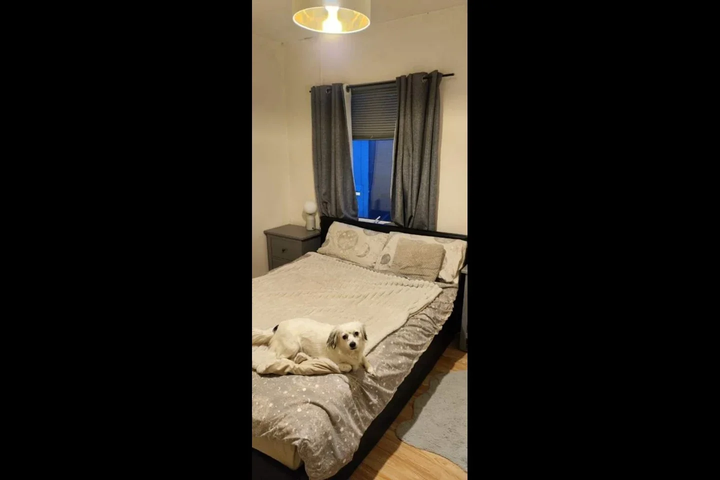 Room Wild Cherry Drive in Luton