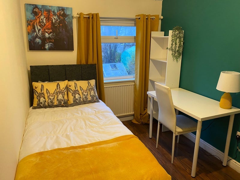 Room Willinton Road in Bristol