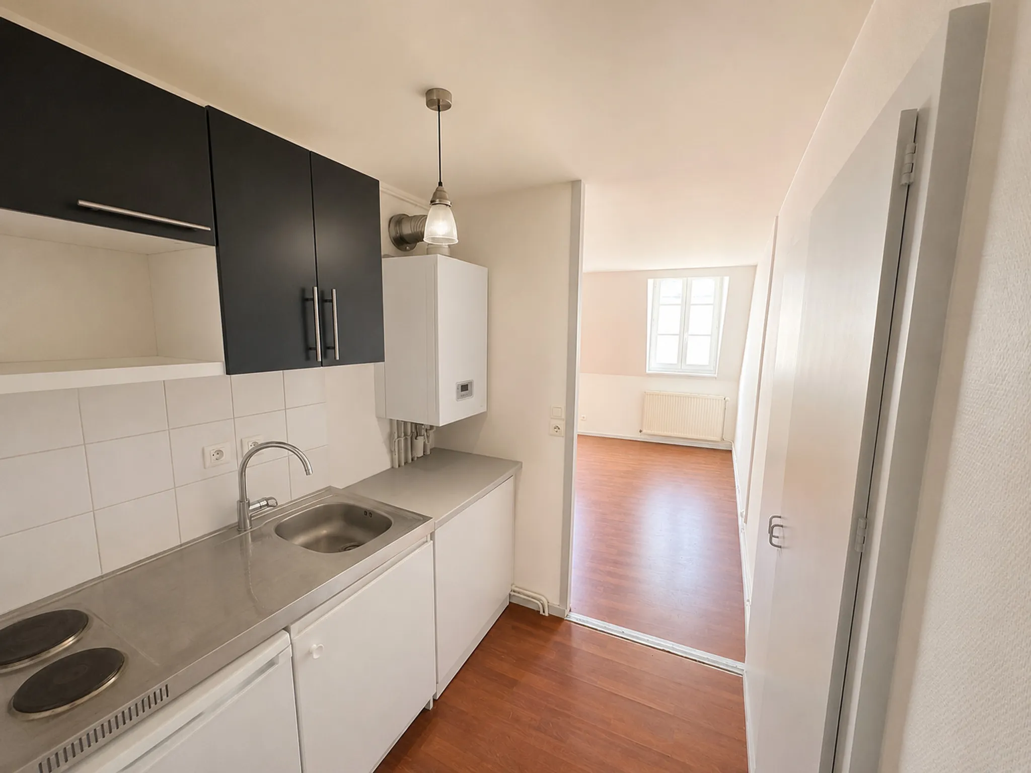 Flat Quai Nicolas Rolin in Dijon