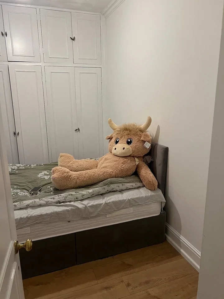 Room Finborough Road in Greater London