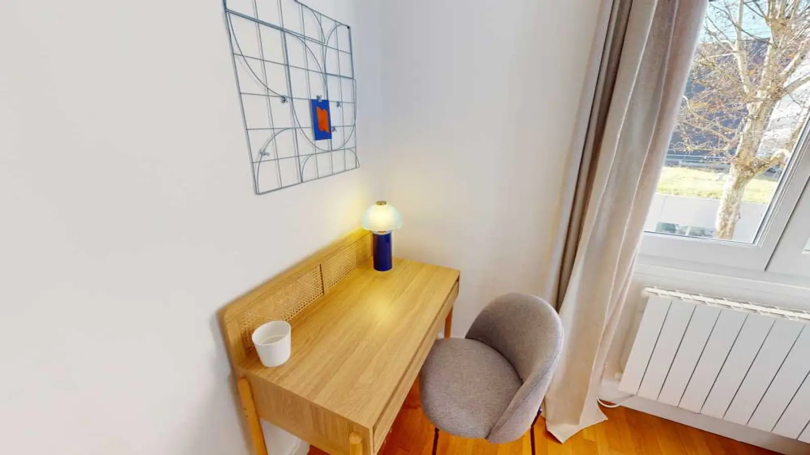 Appartement Rue Salomon Reinach à Lyon