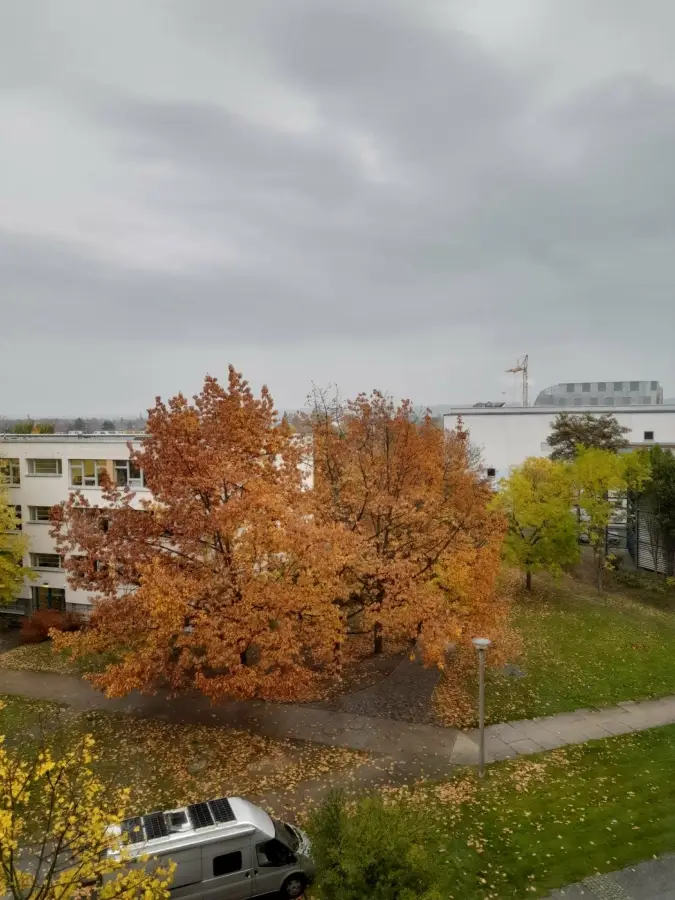 Wohnung Conrad-Felixmüller-Straße in Dresden