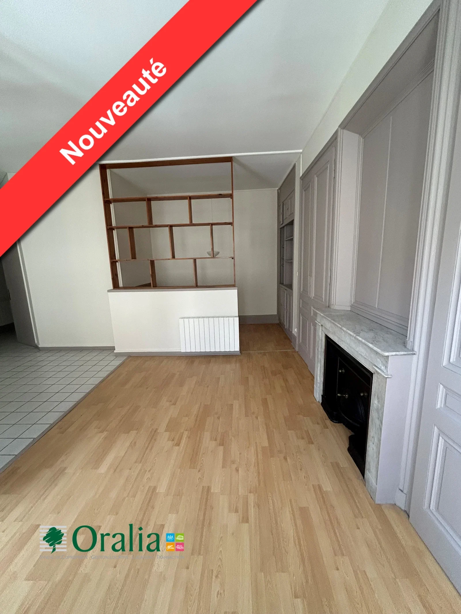 Appartement Rue Sainte-Geneviève à Lyon