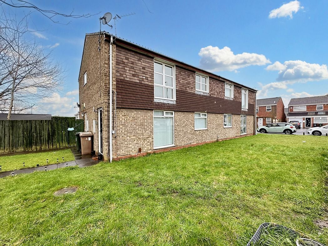 Flat Airedale in North Tyneside
