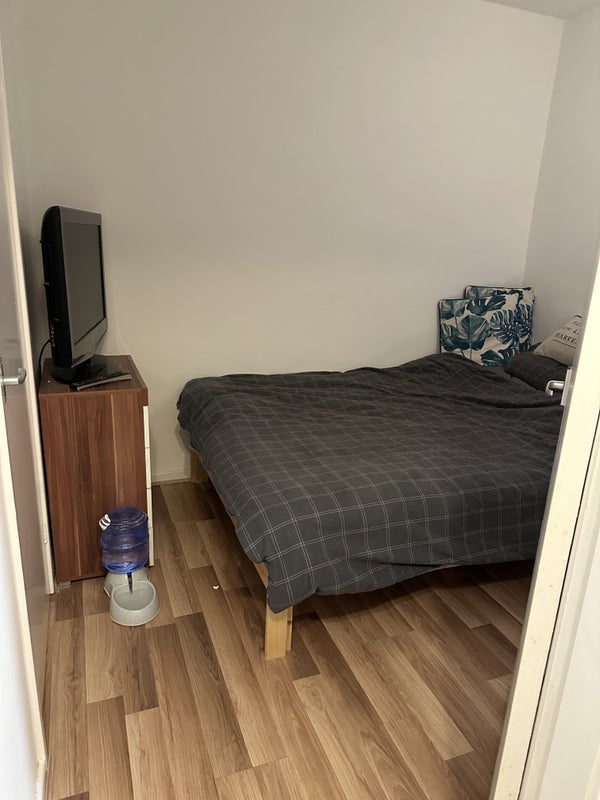 Room Holly Gardens in Nottingham