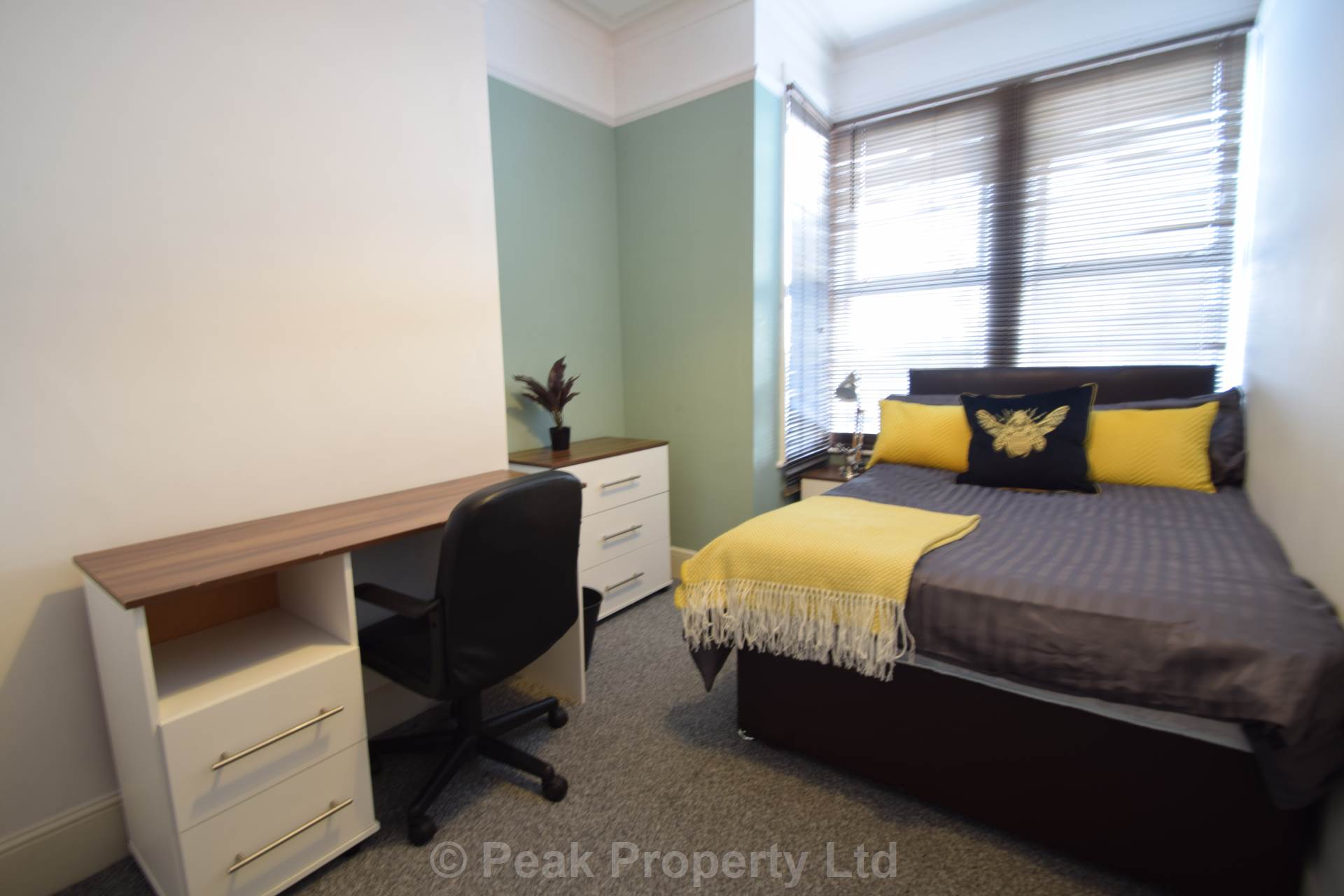 Room Ambleside Drive in Southend-on-Sea