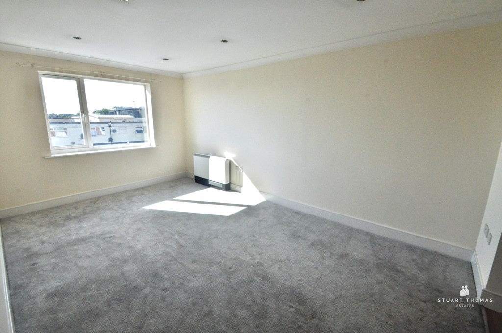 Flat Wilkinson Drop in Castle Point
