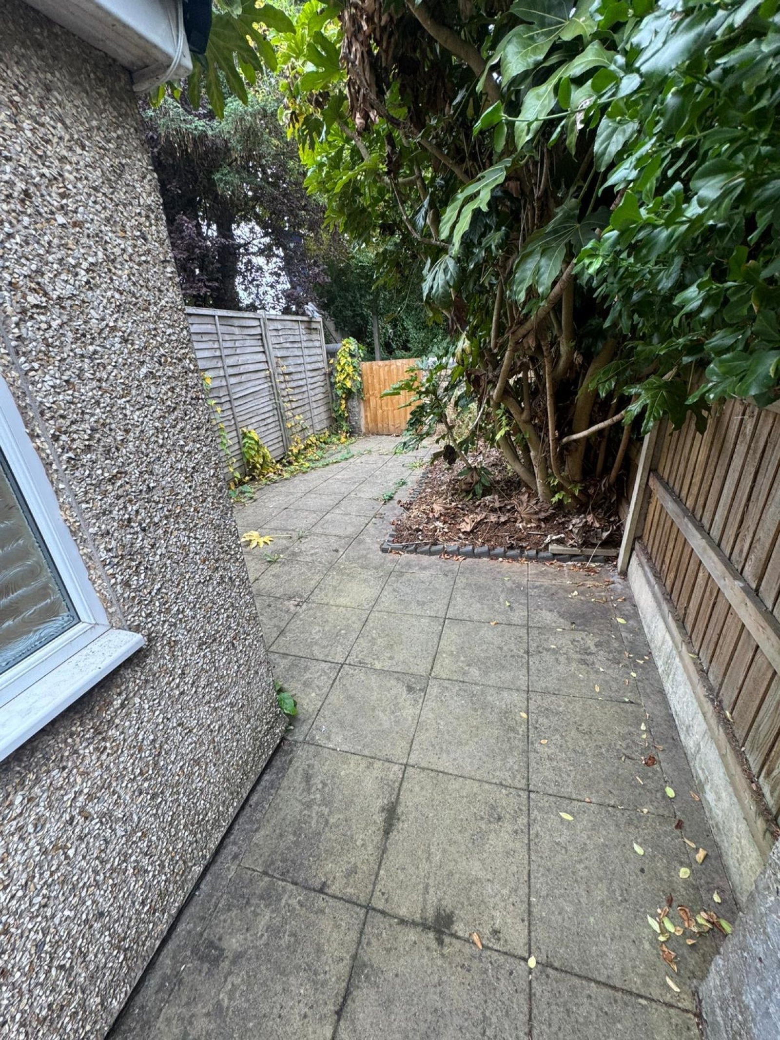 Room Honeywood in Newcastle-under-Lyme