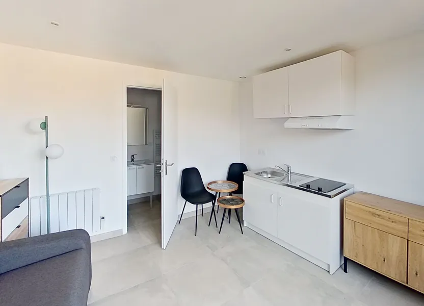 Flat Avenue de Lanessan in Lyon