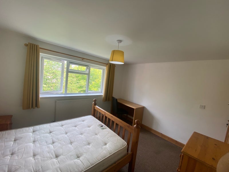 Room Palmer Avenue in Charnwood