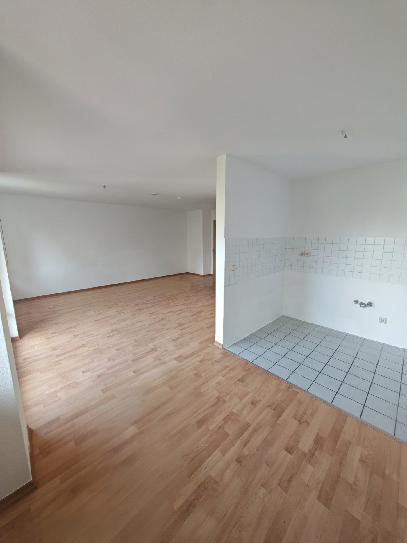Wohnung Österreicher Straße in Dresden