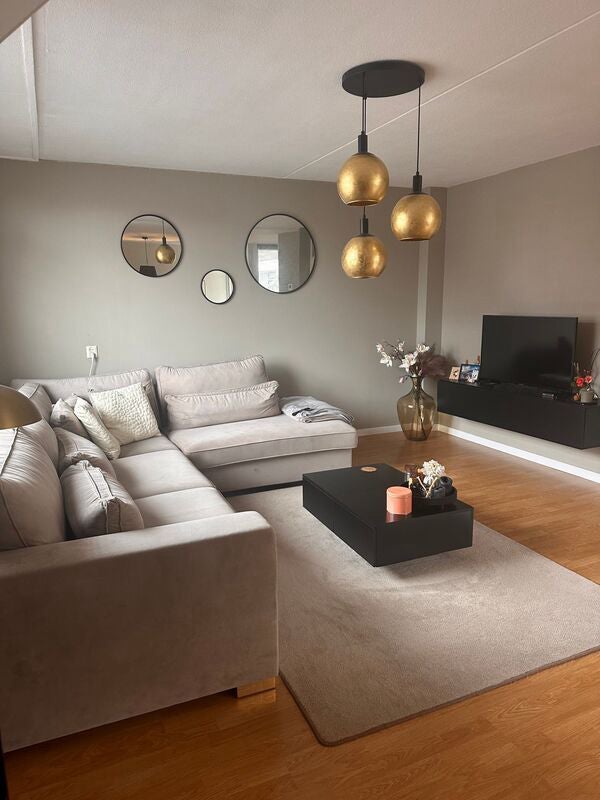Appartement Meubelmakerstraat in Ammerstol