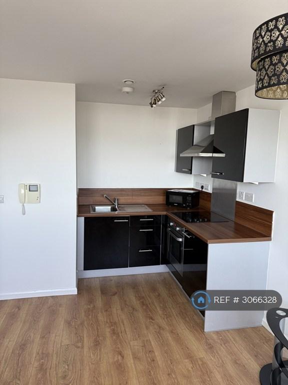 Flat Mann Island in Liverpool