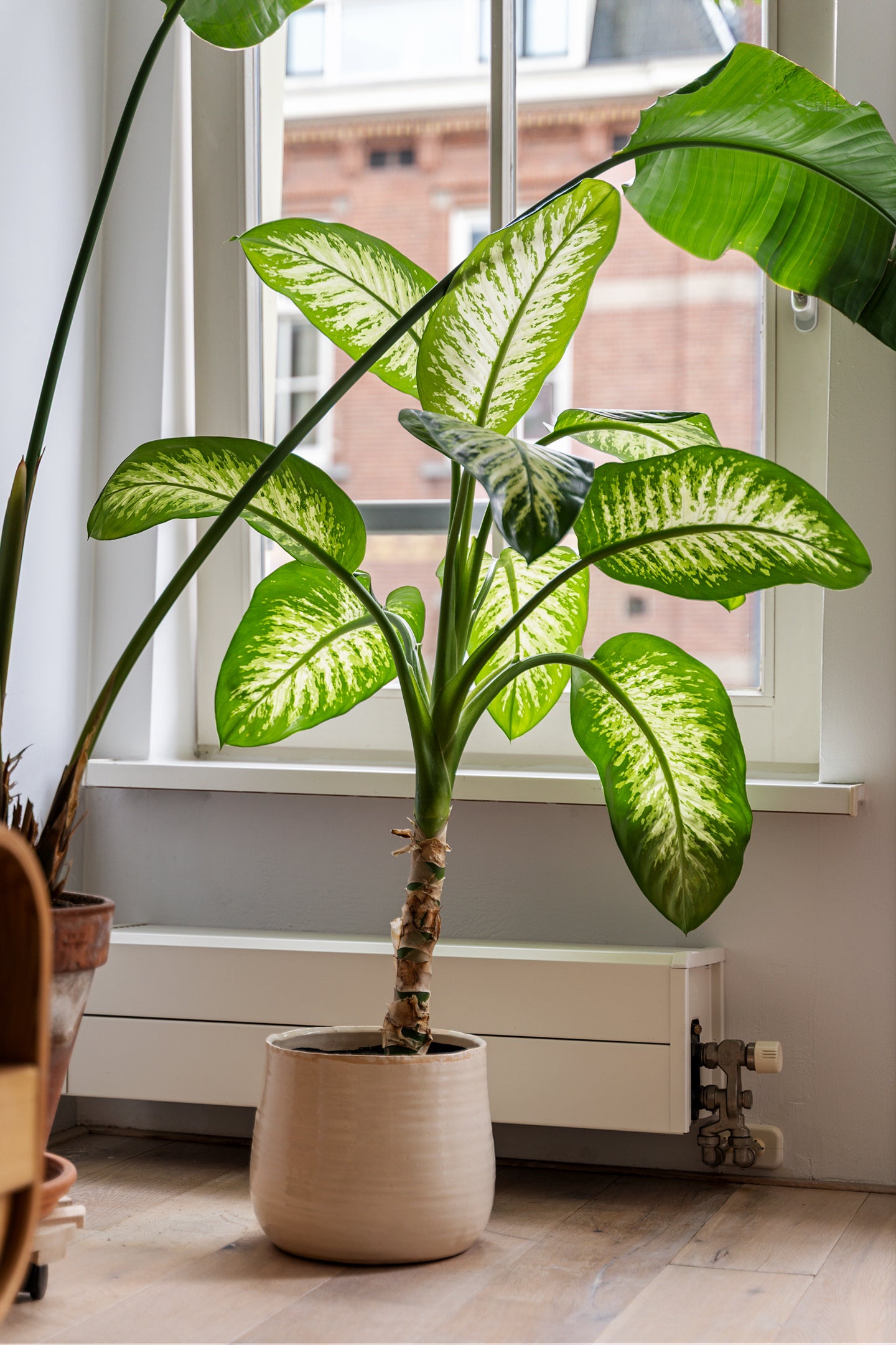 Studio te koop: Derde Hugo de Grootstraat 18-1, Amsterdam