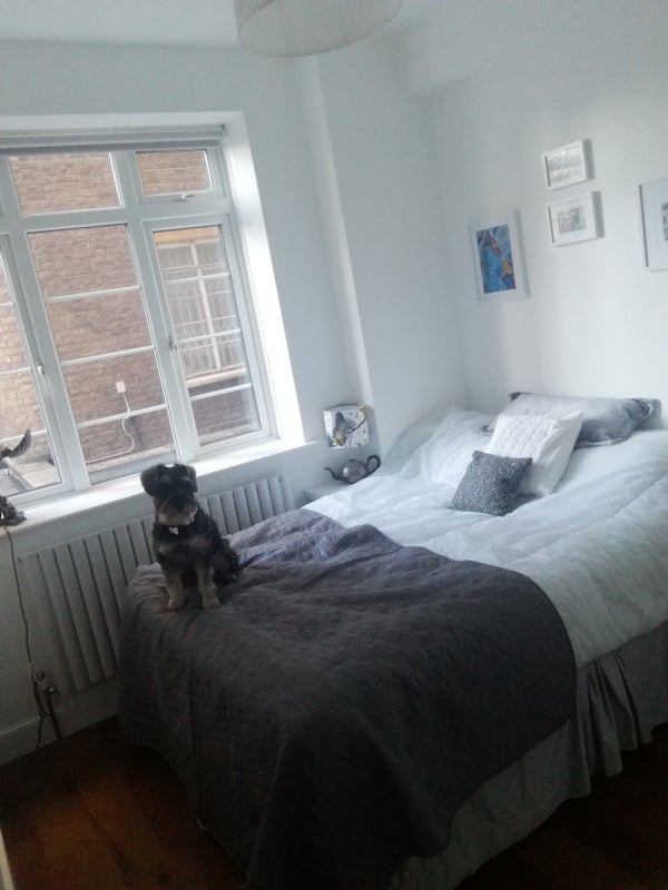 Room Primrose Hill Road in Greater London