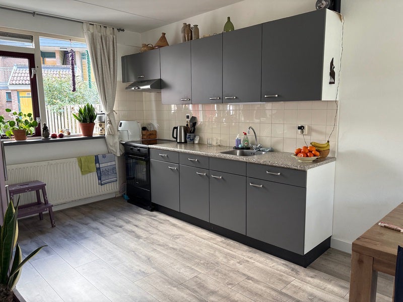 Appartement Ganzenwei in Warmond