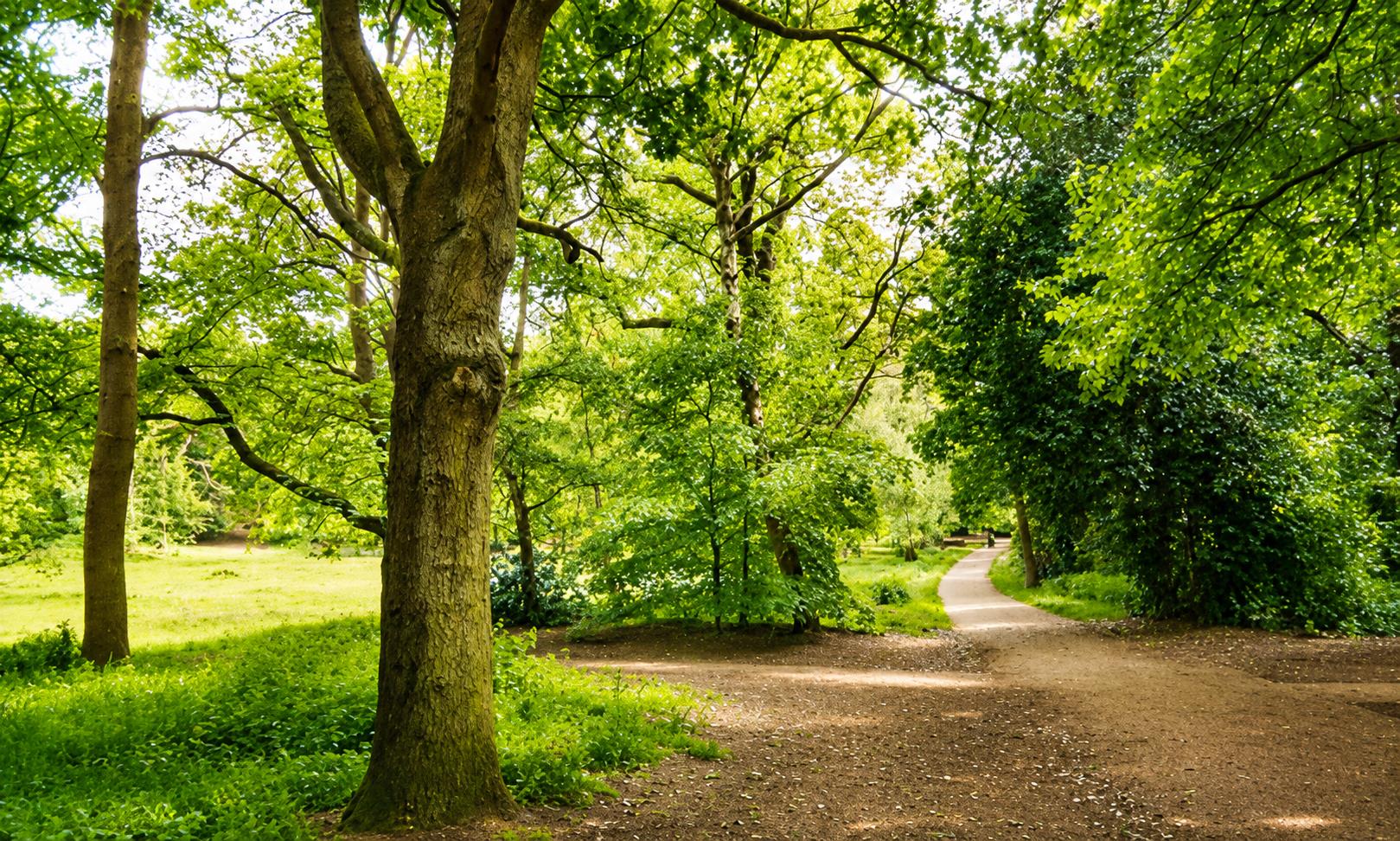 Flat Millennium Way in Bracknell