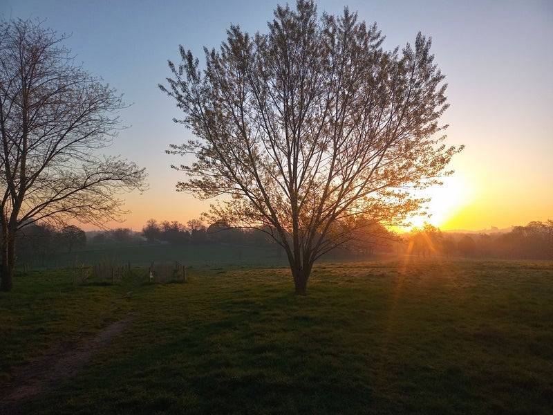 Room Cressingham Gardens in Greater London