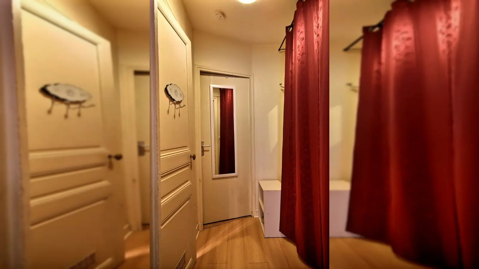 Flat Rue de Vouillé in Paris