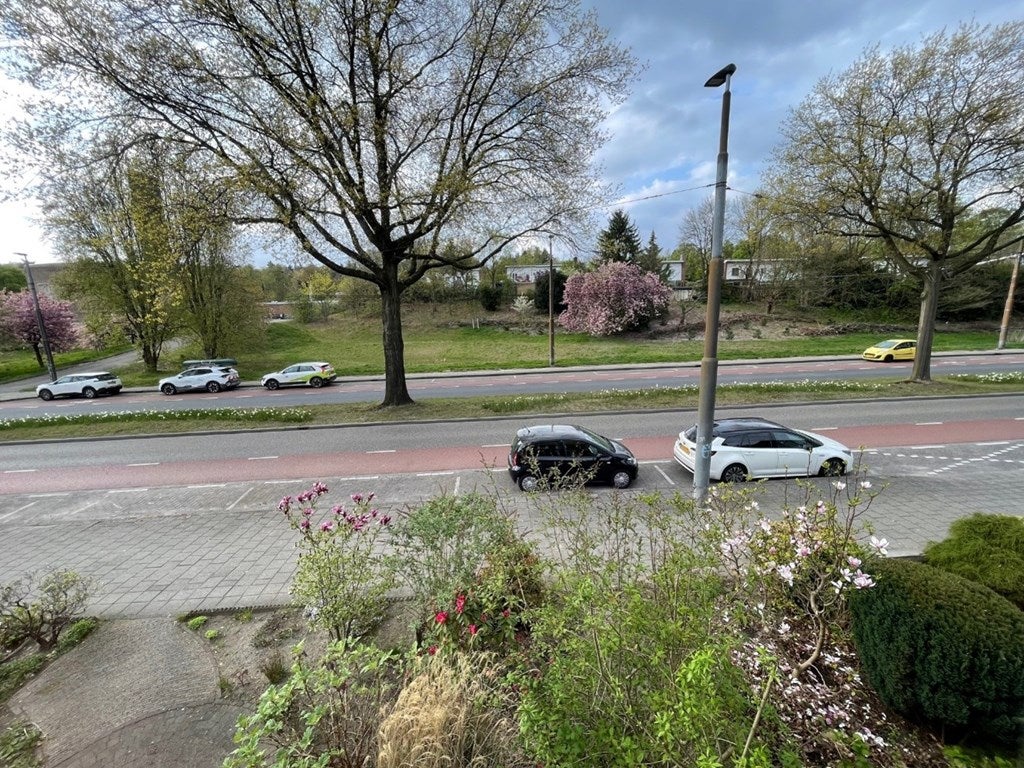 Woning te huur: Rosendaalseweg, Arnhem