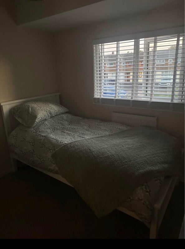 Room Willcox Avenue in West Suffolk
