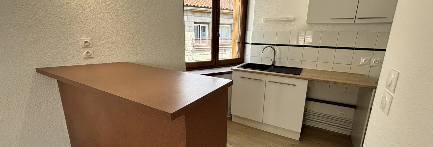 Appartement Rue Louis Braille à Saint-Étienne