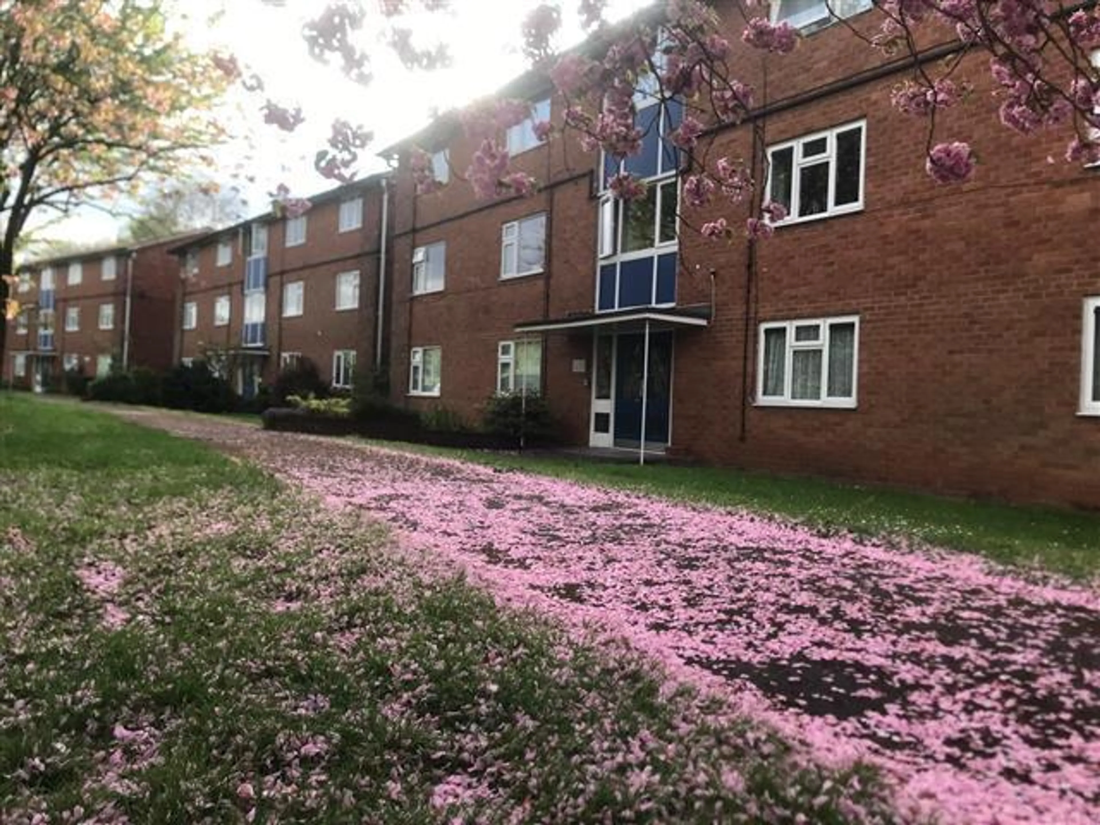 Flat Bridgnorth Road in Wolverhampton