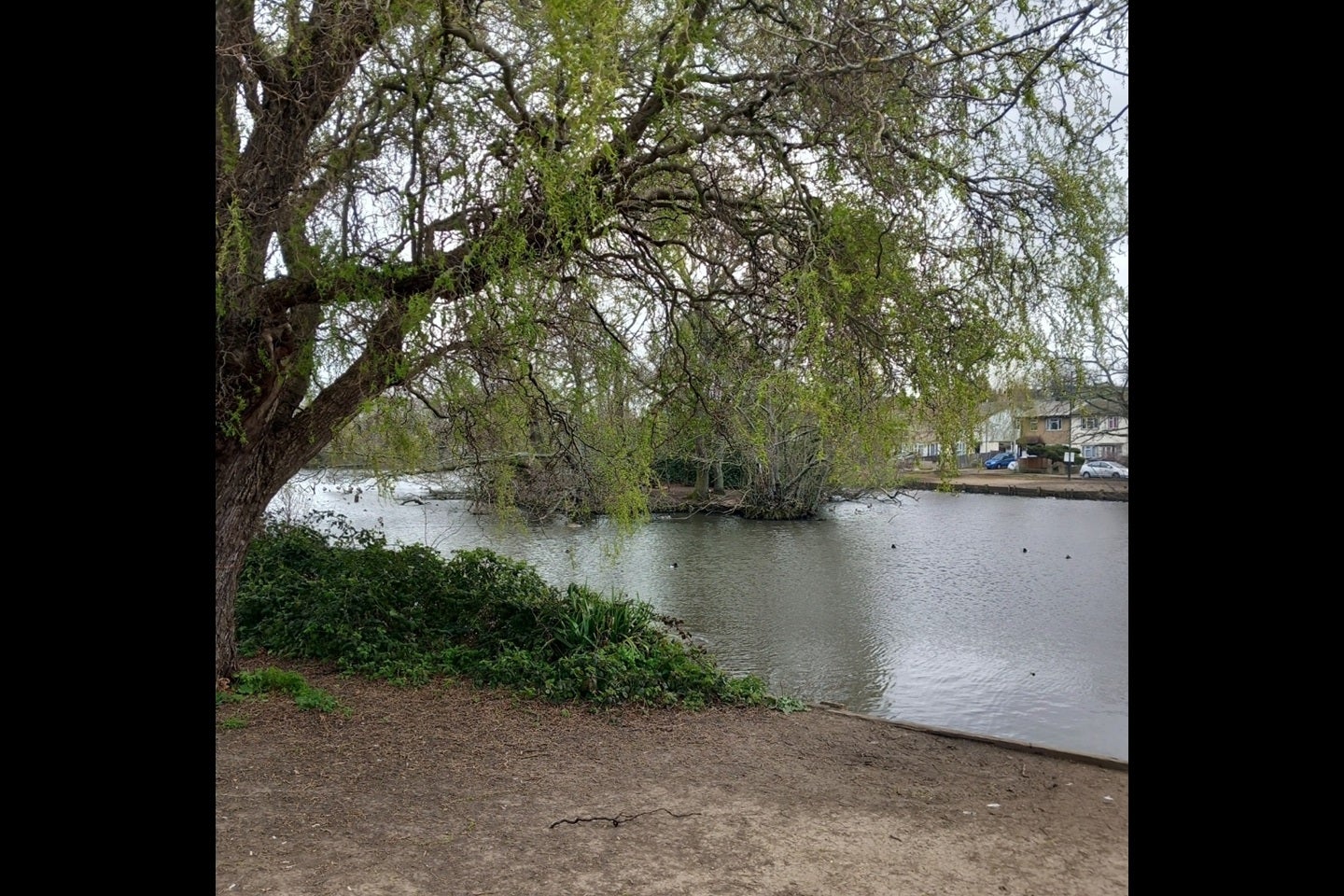 Flat Sherbrook Gardens in Greater London