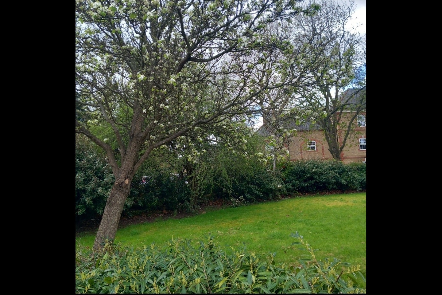 Flat Sherbrook Gardens in Greater London