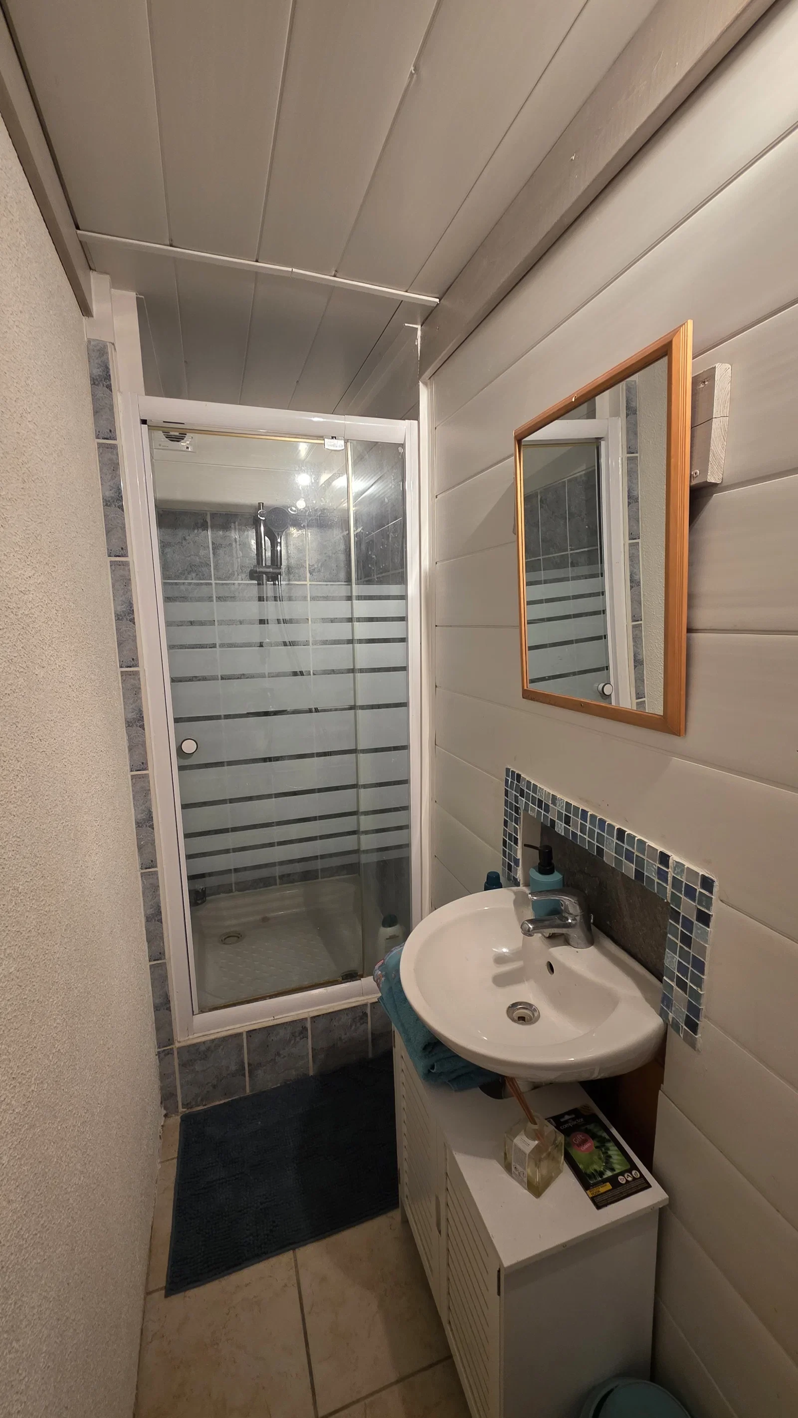 Room Allée du Menthonay in Menthonnex-en-Bornes