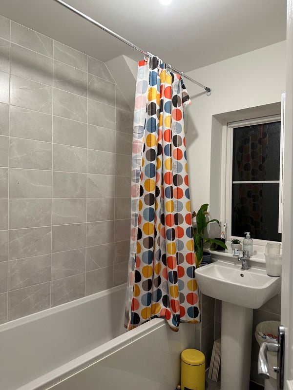 Room Foxglove Avenue in Chelmsford