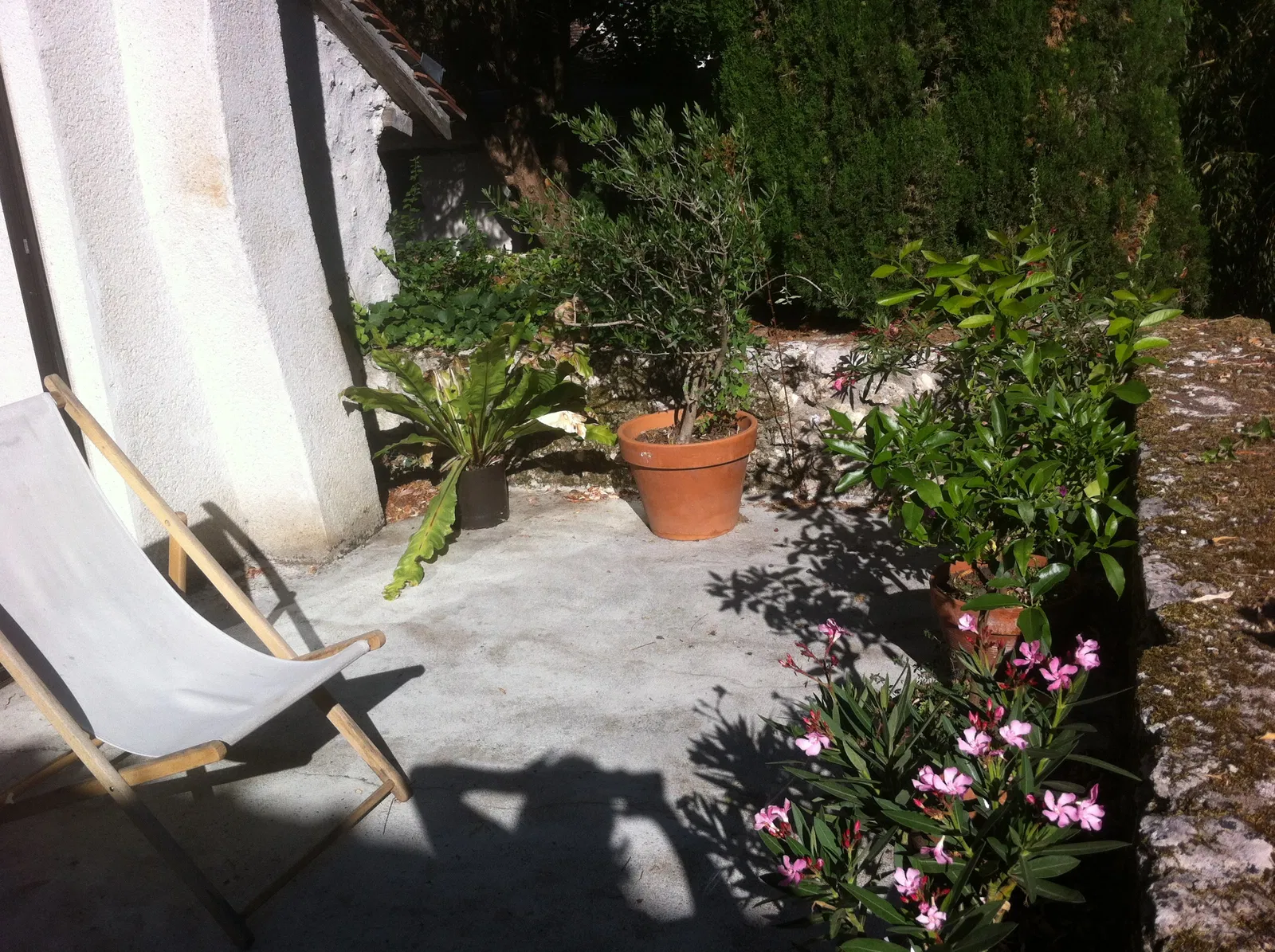 Room Rue des Moulins in Suèvres