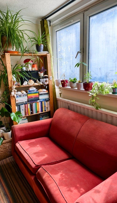 Room Ashley Down Road in Bristol